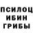 Псилоцибиновые грибы Psilocybe Janna Baisherieva