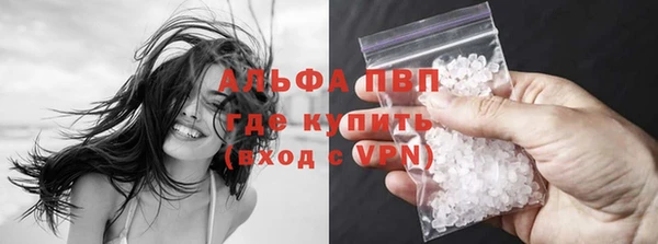 крисы Алзамай