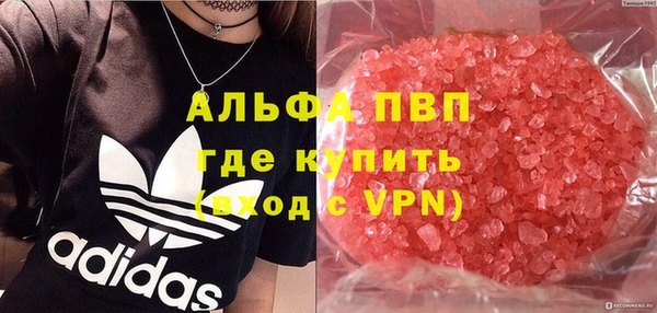 крисы Алзамай